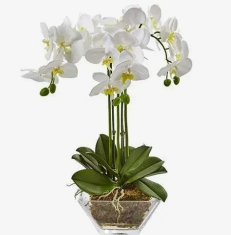 Rose and Morning Glory N007