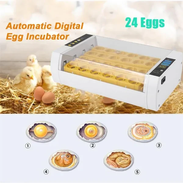 24 Eggs Incubators For With Automatic , Chicken Hatcher Automatic Turning Temperature Control, For Chicken, Quail Eggs